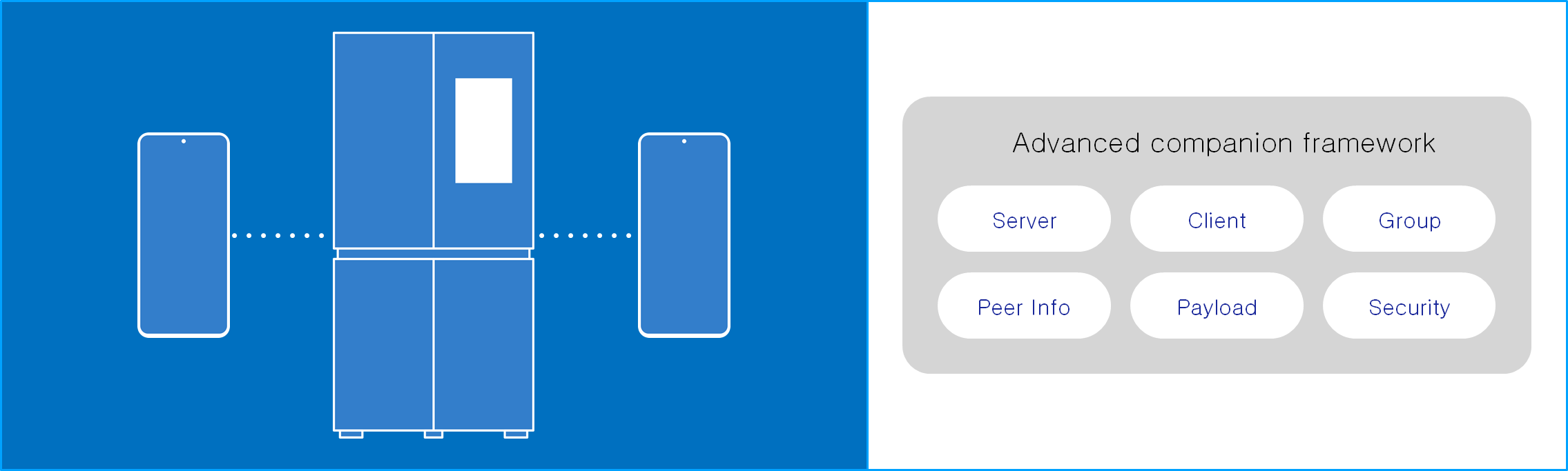 AdvancedCompanionFramework