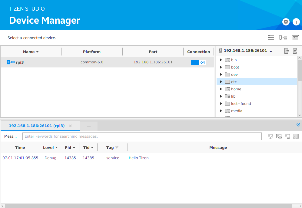 Log of the IoT native service application